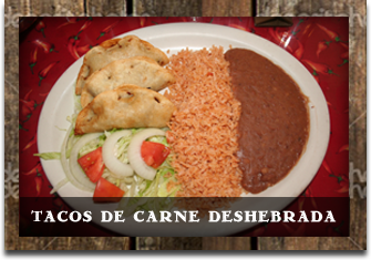 best mexican food in dallas fort worth